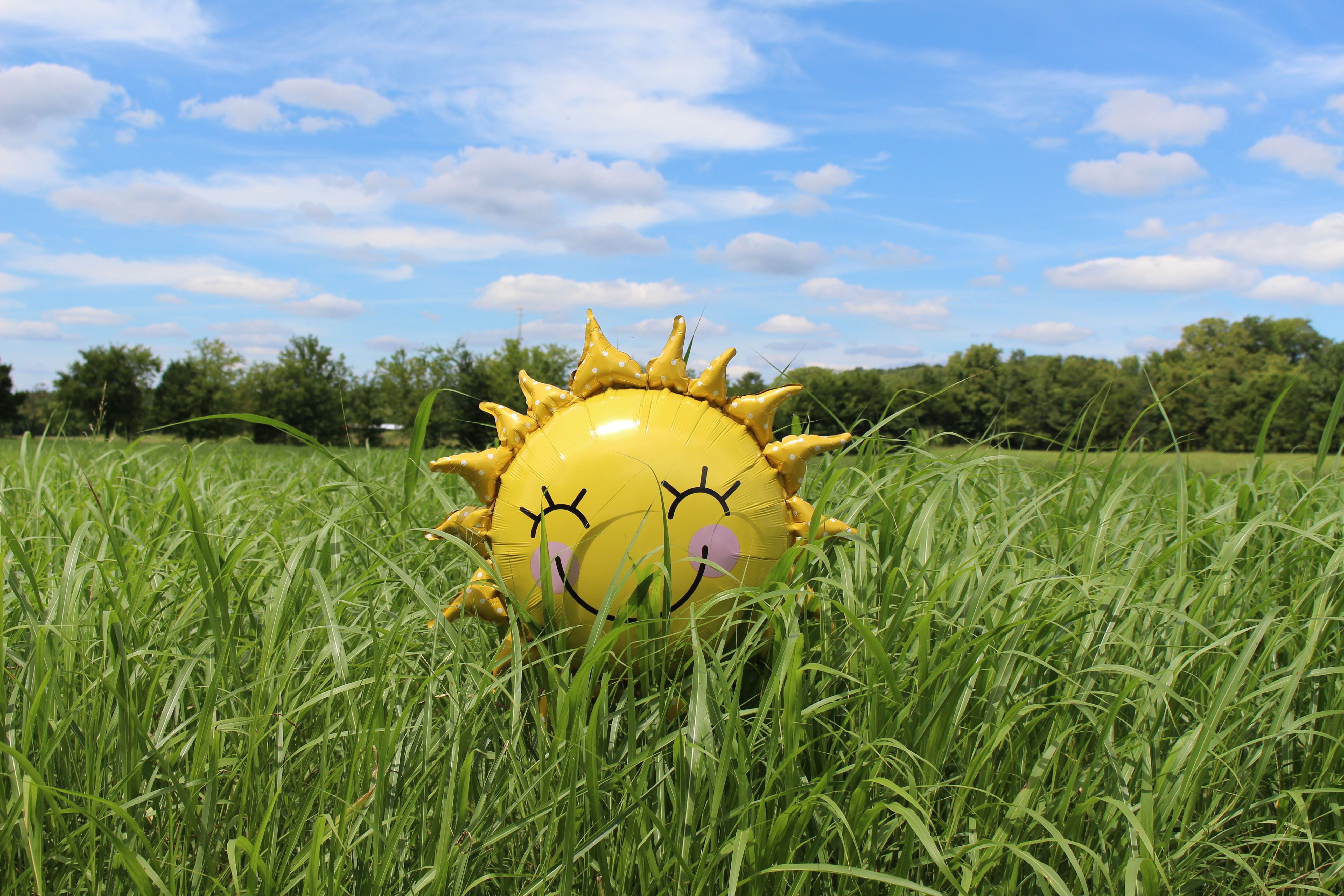 Smiling yellow sun balloon in a field of green grass